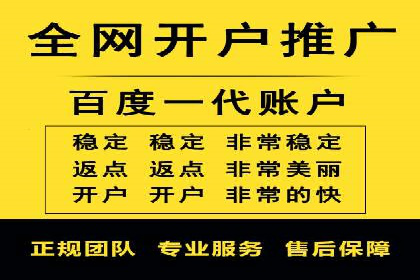 百度推广价格策略：成功案例分享